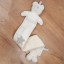 Teddy Bear Height Chart