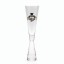 Graduation - Champagne Flute