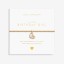 Joma A little Birthday Girl Bracelet