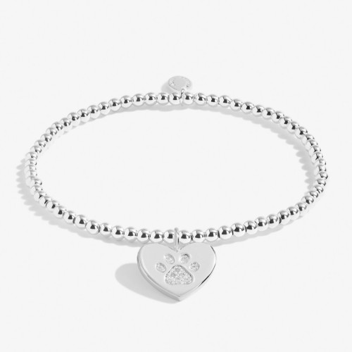Joma A little Sorry for Your Loss (Pet) Bracelet