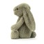 /Users/laurabell/Desktop/BASS6FERN-Bashful-Fern-Bunny-Small-4.jpg /Users/laurabell/Desktop/BASS6FERN-Bashful-Fern-Bunny-Medium-3.jpg