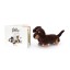 Jellycat Otto the Long Loyal Dog Book