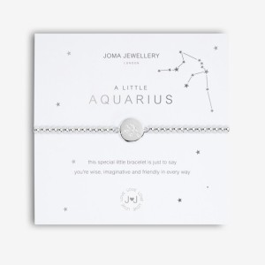 Joma  A Little Aquarius Star Sign Bracelet