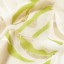 Katie Loxton Lime Foil Palm Leaf Scarf