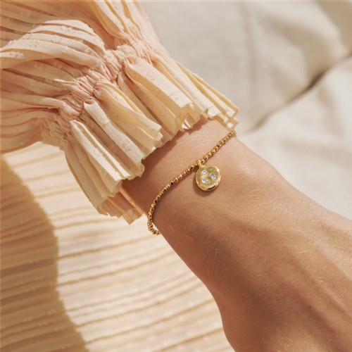 Joma Dolce Vita Collect Adventures Bracelet