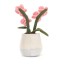 Jellycat Amuseable Pink Orchid