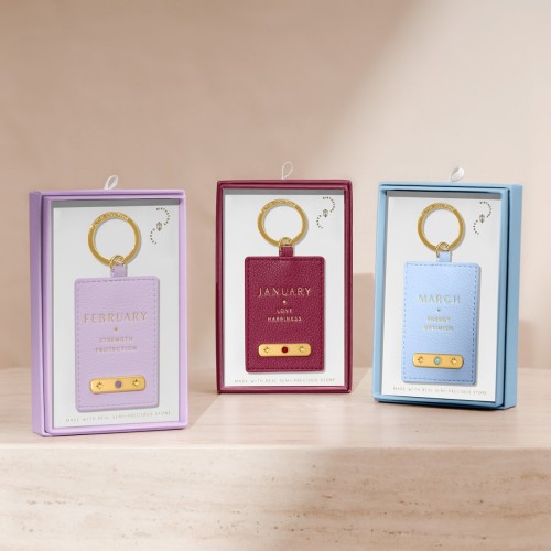Katie Loxton Birthstone Keyring February 2025