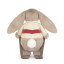 Jellycat Bashful Bunny Gold Medal Ski Outfit